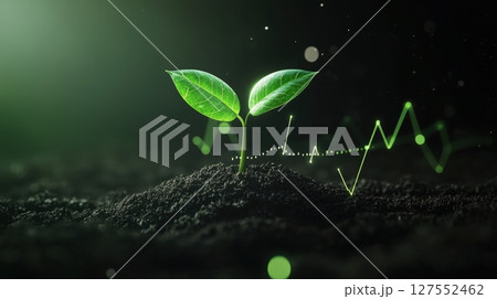 Time lapse of a Cacao Tree Growing Alongside an Upward Trajectory 127552462