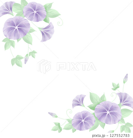 水彩風の朝顔フレーム（正方形） 127552783