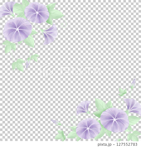 水彩風の朝顔フレーム（正方形） 127552783