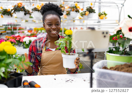 A smiling African American woman is presenting a plant during a live stream from a greenhouse, surrounded by flowers. 127552827