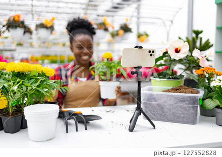 An African-American woman in a greenhouse is holding a plant, filming content with her smartphone. 127552828