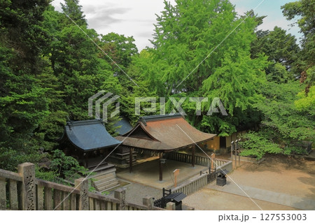 石段の上から眺めた金刀比羅宮の祓戸社と火雷社 石段の上から眺めた金刀比羅宮の祓戸社と火雷社 127553003