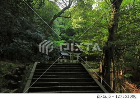 深山の緑の中に佇む金刀比羅宮の菅原神社 127553006
