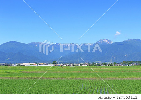 初夏の安曇野と北アルプス 127553112