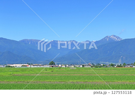 初夏の安曇野と北アルプス 127553118