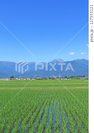 初夏の安曇野と北アルプス 127553121