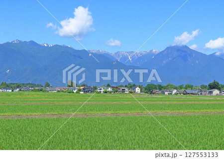 初夏の安曇野と北アルプス 127553133