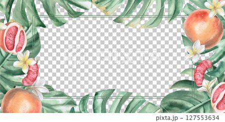 Rectangular frame with summer holiday theme. Isolated watercolor illustration with grapefruit and frangipani flowers, green leaves for summer menu design, photos, party invitations. Rectangular frame with summer holiday theme. Isolated watercolor illustration with grapefruit and frangipani flowers, green leaves for summer menu design, photos, party invitations. 127553634