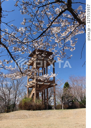 記念樹の森公園 記念樹の森公園 127553937