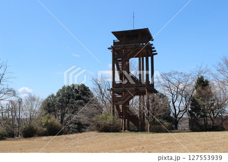 記念樹の森公園 127553939