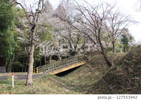 記念樹の森公園 127553942