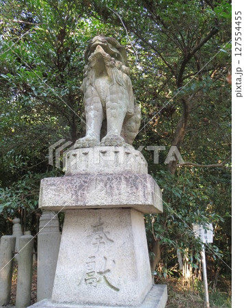 2014年・香川・観音寺・八幡・風景・神社・琴引八幡宮・狛犬・其の七 127554455
