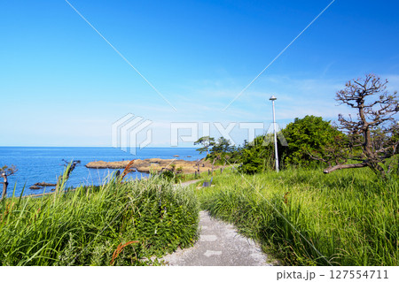 三浦半島の名勝立石公園の夏 三浦半島の名勝立石公園の夏 127554711