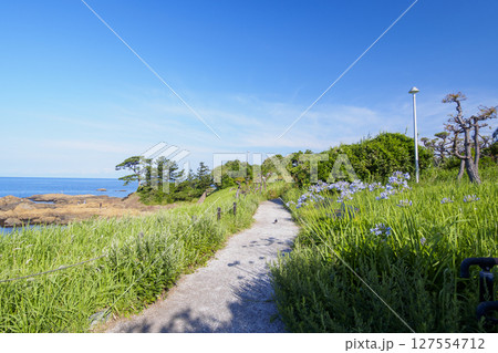 三浦半島の名勝立石公園の夏 三浦半島の名勝立石公園の夏 127554712
