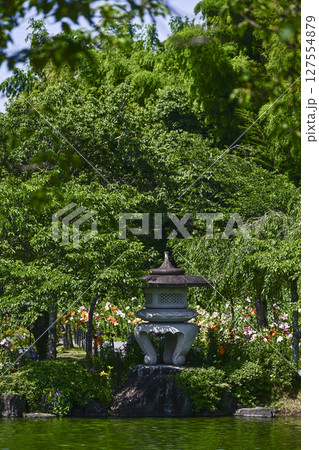 「可睡ゆりの園」対岸より燈籠を望む 「可睡ゆりの園」対岸より燈籠を望む 127554879