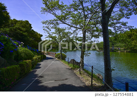 輝く白いユリ「可睡ゆりの園」 127554881