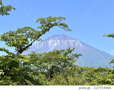 初夏の富士山 127554906