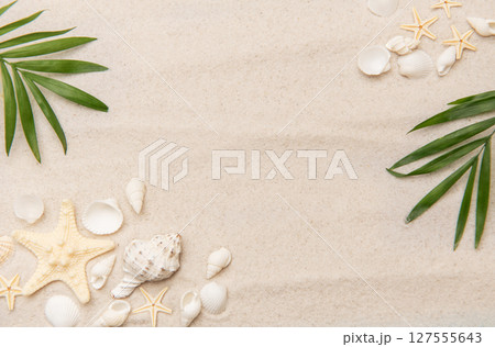 Tropical background featuring palm leaves, seashells, and starfish on sand Tropical background featuring palm leaves, seashells, and starfish on sand 127555643
