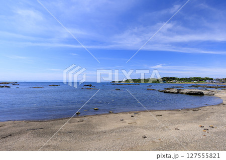 和田長浜の夏 127555821
