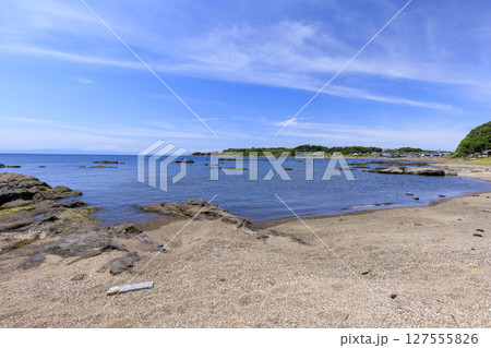 和田長浜の夏 127555826