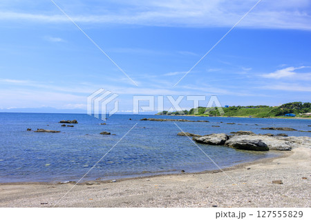和田長浜の夏 和田長浜の夏 127555829