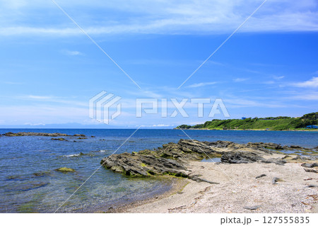 和田長浜の夏 127555835