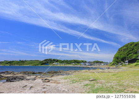 和田長浜の夏 127555836