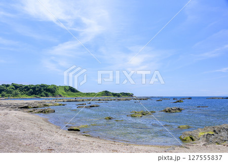 和田長浜の夏 127555837