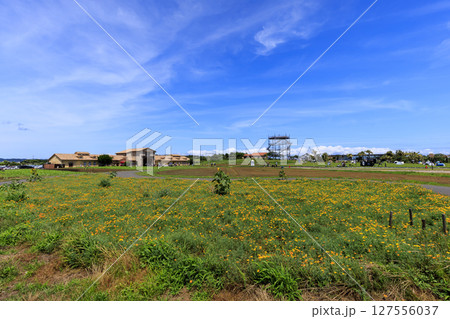 ソレイユの丘の夏 127556037