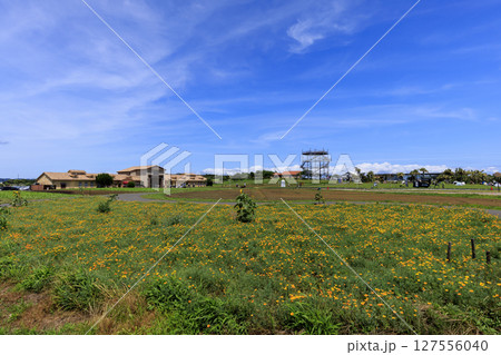 ソレイユの丘の夏 127556040