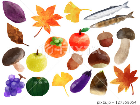 秋のイラスト 手描き 水彩風 秋のイラスト 手描き 水彩風 127558054