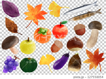 Autumn illustration, hand-drawn, watercolor style 127558054