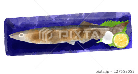 秋刀魚のイラスト　手描き　水彩風 127558055