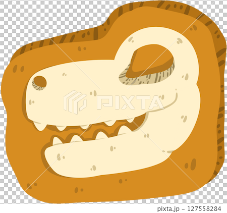 fossil fossil 127558284
