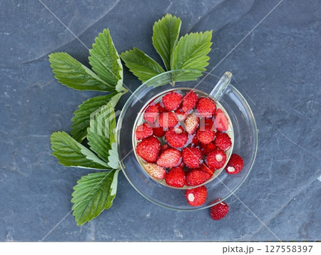 Herbal tea made from leaves of wild Alpine strawberries on the stone. Herbal tea made from leaves of wild Alpine strawberries on the stone. 127558397