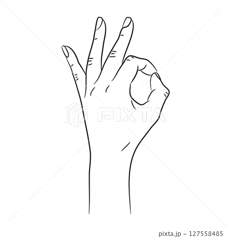 Woman hand showing the ok sign - everything is fine, female fingers, sketch draw from contour black brush lines different thickness on white background. Vector illustration. 127558485