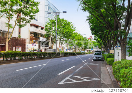 東京　新緑の表参道 127558704