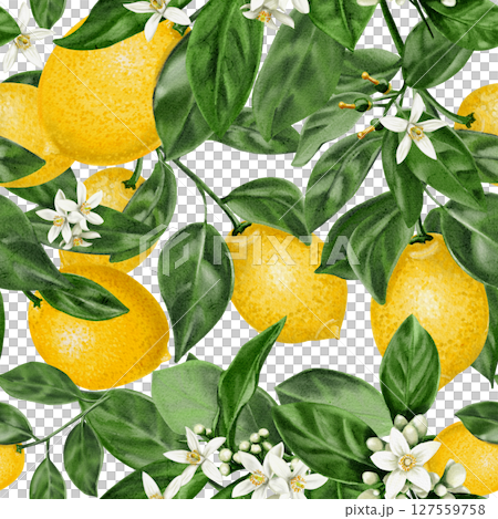 Seamless pattern with lemons. Citrus flowers on a branch with leaves and fruits. Vintage summer pattern for fabric. Small white flowers. Watercolor illustration Hand drawing. For fabric and packaging. Seamless pattern with lemons. Citrus flowers on a branch with leaves and fruits. Vintage summer pattern for fabric. Small white flowers. Watercolor illustration Hand drawing. For fabric and packaging. 127559758