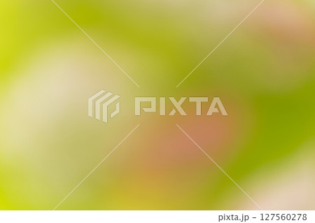 背景素材　グラデーション　グリーン系　MIX 127560278