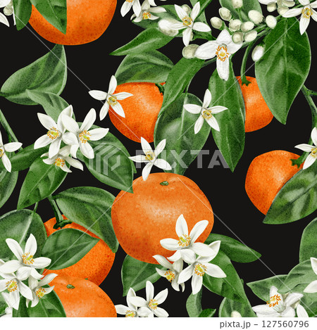 Seamless pattern with oranges and flowers on branches. White small flowers with citrus fruits. Leaves and petals. Watercolor illustration on dark background. Hand drawn. Vintage retro style.  127560796