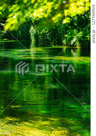 初夏の安曇野　清流の風景　 127560928