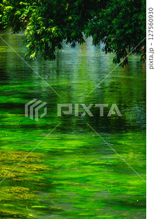 初夏の安曇野　清流の風景　 127560930