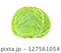 Savoy cabbage head, kitchen garden, winter green vegetable, isolated on white background with clipping path 127561054