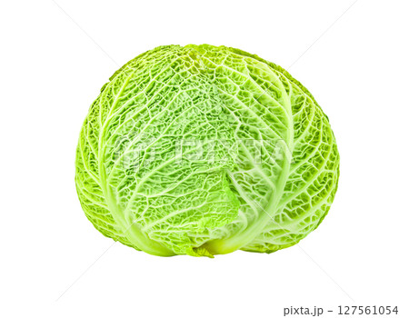 Savoy cabbage head, kitchen garden, winter green vegetable, isolated on white background with clipping path 127561054