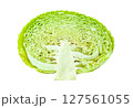 Savoy cabbage head, cut in half, middle, winter green vegetable, isolated on white background with clipping path 127561055