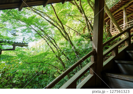 京都 永観堂 臥龍廊のもみじ 京都 永観堂 臥龍廊のもみじ 127561323