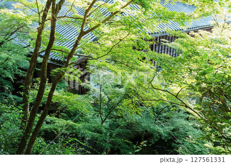 緑のある臥龍廊からの風景　永観堂 127561331