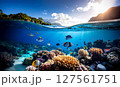 太陽の光に照らされる海とサンゴ 127561751