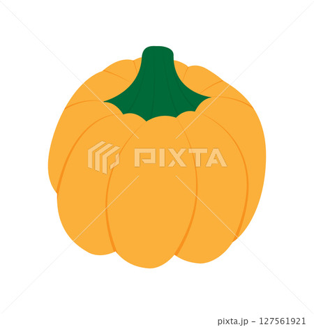 Pumpkin Autumn Seasonal Vegetable fruit Halloween and Thanksgiving main symbol Minimalist design 127561921