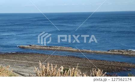 日南海岸の鬼の洗濯板 127562174